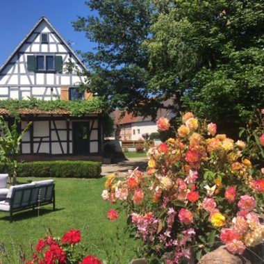 Gîte La Forêt