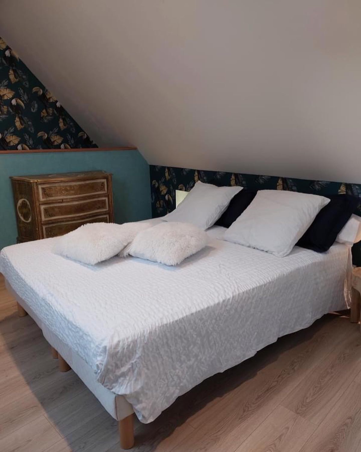 Photo du gîte 6